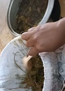 anti dandruff shampoo