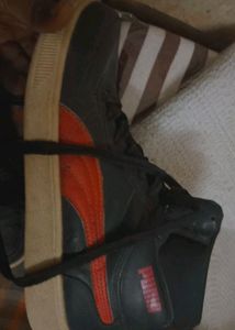 Original Puma Shoes For Mens