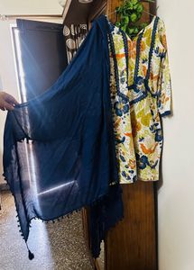 Multi Straight Salwar Suit