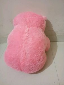 Pink Teddy For Kids