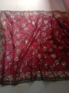 new Elegant onion . Embellished Saree