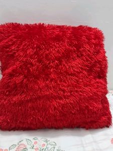 Square  Fur Pillow
