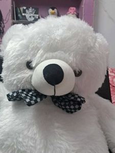 Cute White Teddy Bear