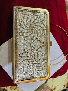 Elegant Clutch party wear new wdt tag