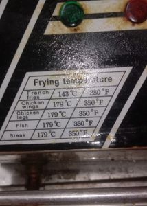 Electric Frier Double Tank