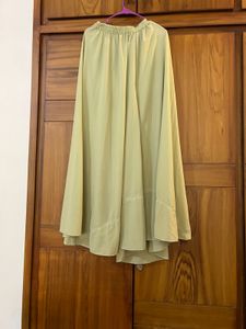 Elegant Pakistani Dress
