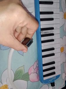 Brother Melodica Instrument