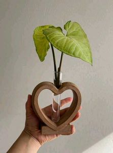 Planter Mould Heart Shape