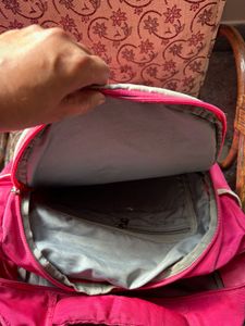 Skybags Pink Backpack