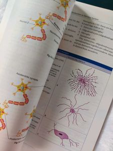 ANATOMY BOOK COMBO