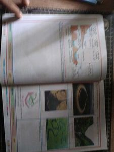 ভূগোল প্রকল্প ও ব্যবহারিক