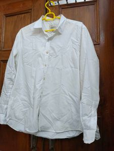 Men Shirt