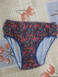 Paisley Print Panties