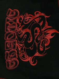 H&amp;M Crop Top Y2k