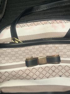 Chic Handbag