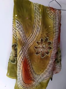 Beautiful Work Saree