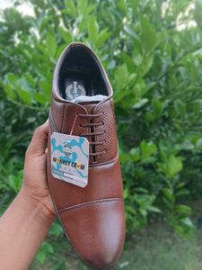 Brown Leather Oxford Dress Shoes