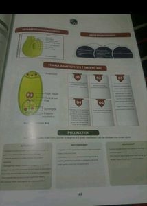 NEET Mind Maps (Class 11 &amp; 12)