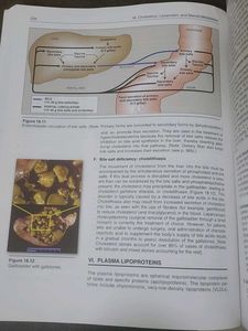 Biochemistry - Lippincott&#39;s Illustrated Reviews
