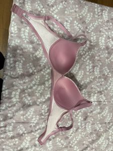 Enamor Padded Non Wired Bra