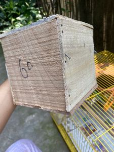 Brand New Wooden Bird House
