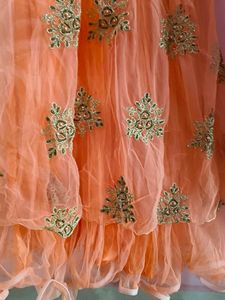 Net Embroidered Gown.
