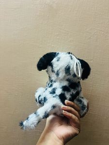 Cute Doggy❤️