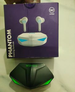 WINGS Brand Earbuds