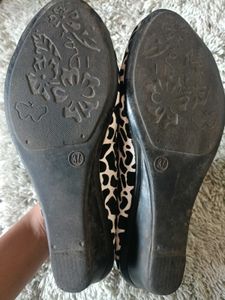Zebra Mojdi For Women