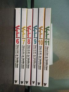 Vagabond Vol 6-11