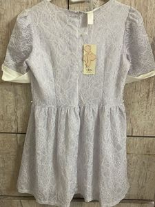 Elegant Lace Dress