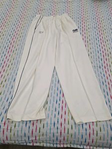 GM Cricket Pants