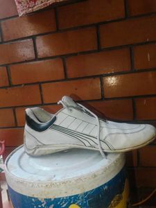 puma ferrari sf future cat shoes
