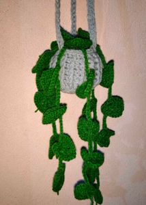Crochet Hanging Plant☘️