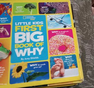 Little Kids First Big Book of Animals