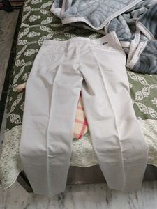 Striped Dress Pants