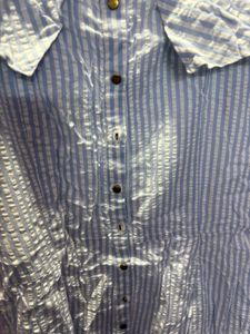 Blue Striped Button-Down Dress