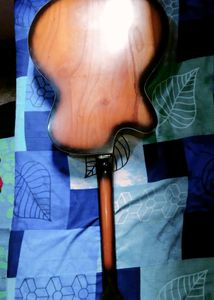 Brand New SIGNATURE Guitar 🎸 😍