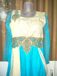 Elegant Ethnic Gown