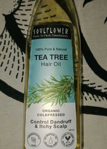 hair dandruff control