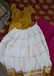 Traditional Kerala Skirt And Blouse