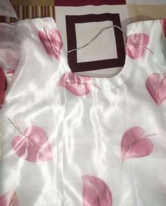 Organza Kurta