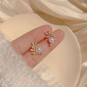 Korean Earrings - Combo of 4