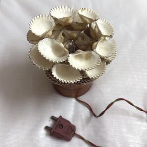 Shell Lamp