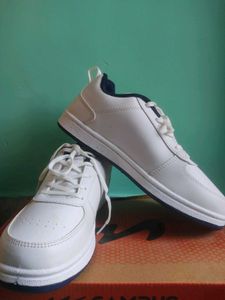 Campus White and navy blue Casual Sneakers for men