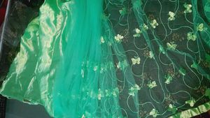 Net Butterfly Saree