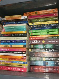 Assorted Fiction Books Bundle