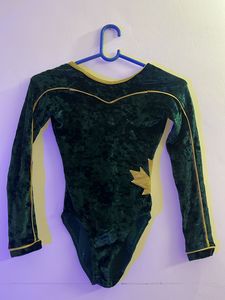 Velvet Bodysuit