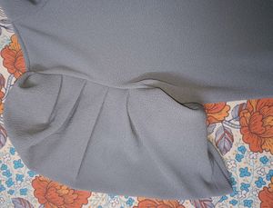 Puffed Sleeve Top, Wore Only Once. Its In A Brand