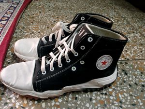 Brand New Shoes